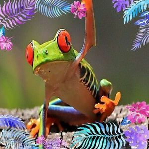 Meet your Posher, Deborah